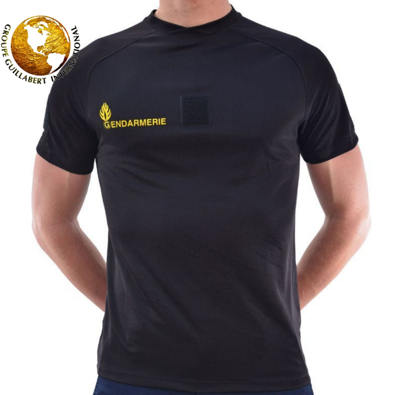 GROUPE GUILLABERT INTL